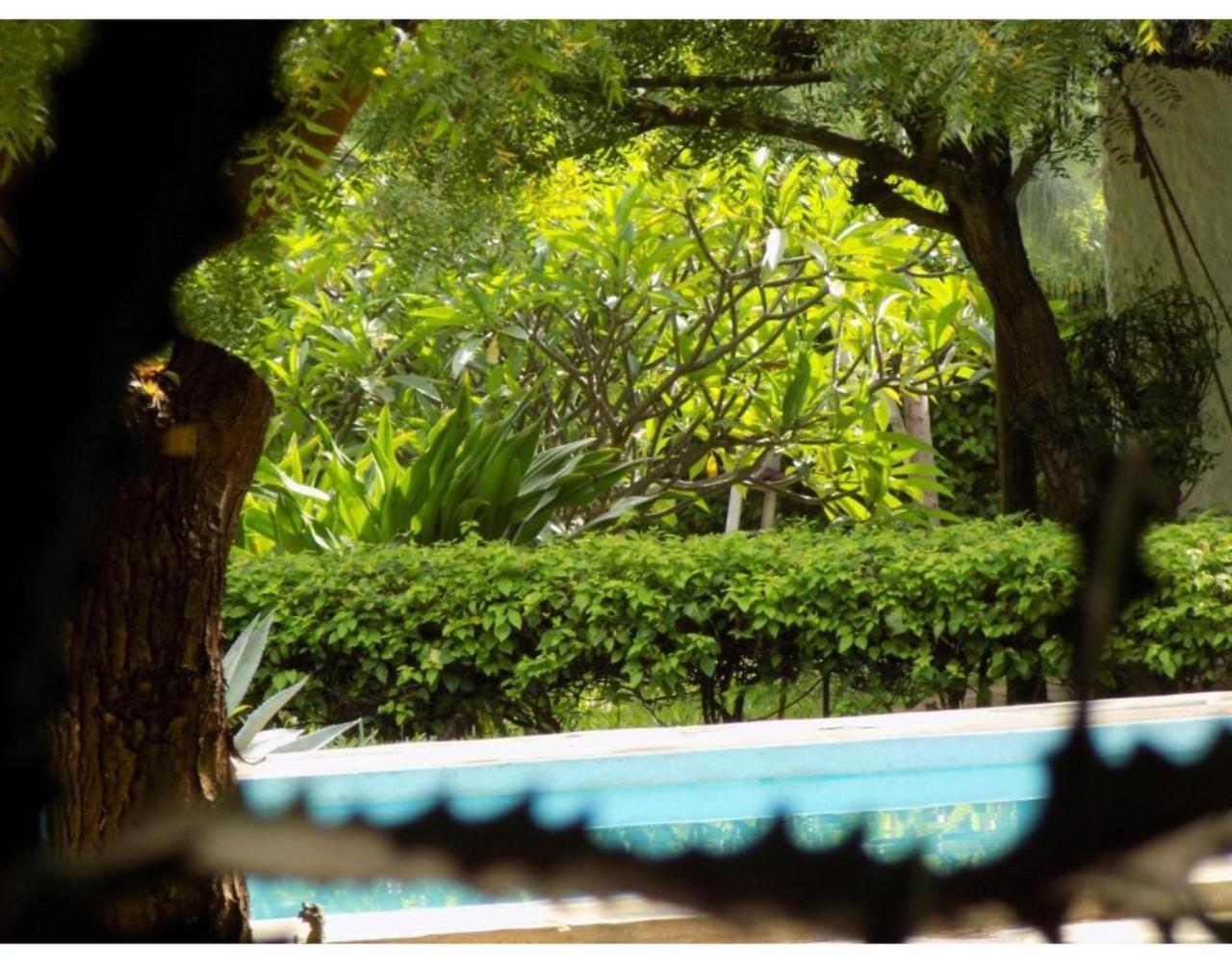 Eco Villas Watamu Exteriér fotografie